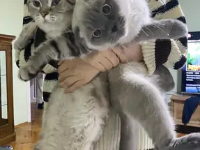 Bihterime yuva bulalım