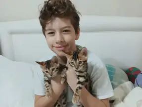 2 AYLIK DİŞİ VE ERKEK BROWN BENGAL YAVRULAR